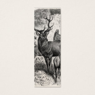 Faon vintage de daine de mâle d'illustration de