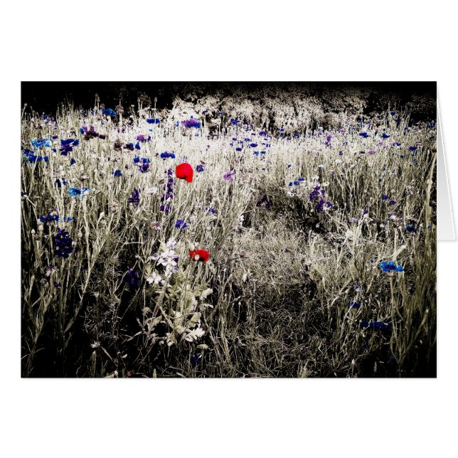 Farbabgeschiedene Blumen-Karte (Vorderseite (Horizontal))