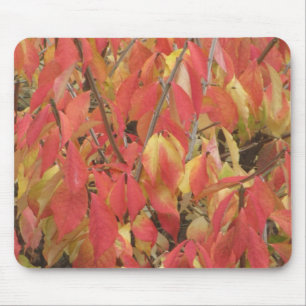 Farbänderung Mousepad