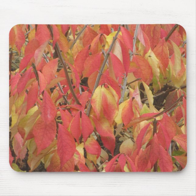 Farbänderung Mousepad (Vorne)