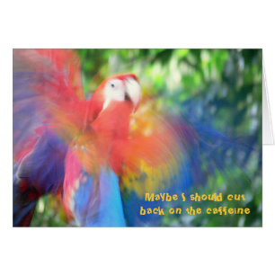 FARBBIGE MACAW "ZU VIEL CAFFEINE" HUMORE KARTE