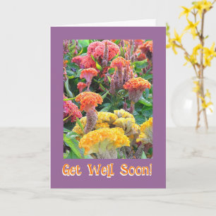 FARBBIGER CELOSIA GARTEN/ GUT/KUNSTBAR KARTE