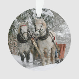 Farbbild des WinterSchlittenfahrens Ornament