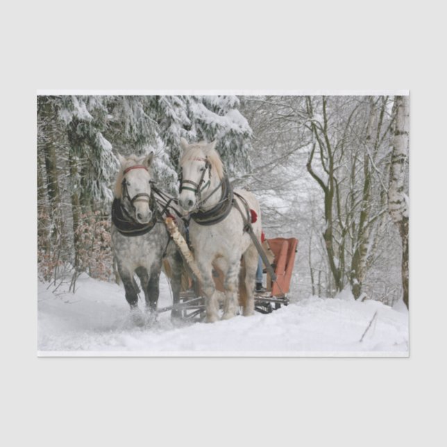 Farbbild des WinterSchlittenfahrens Seidenpapier (Vorderseite)