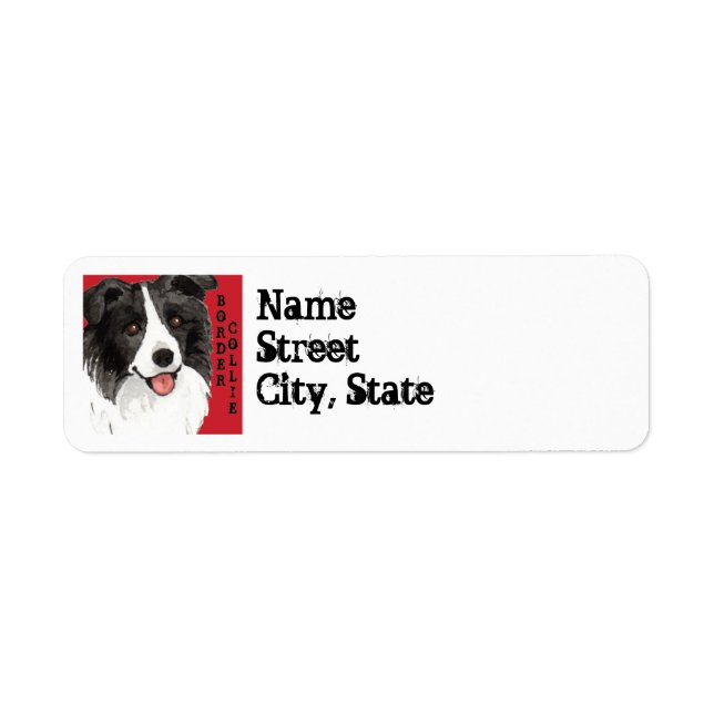 Farbblock Border Collie (Vorne)