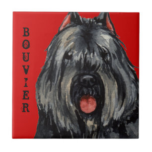 Farbblock Bouvier Fliese