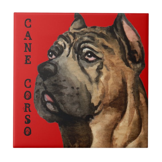 Farbblock Cane Corso Fliese (Vorderseite)