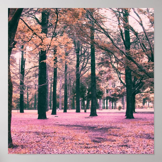 Farbe bewirkte Bäume im Yoyogi Park in Tokio. Poster (Vorne)