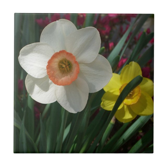 Farbe der Frühlingsblumen Rosa und Gelb Fliese (Vorderseite)