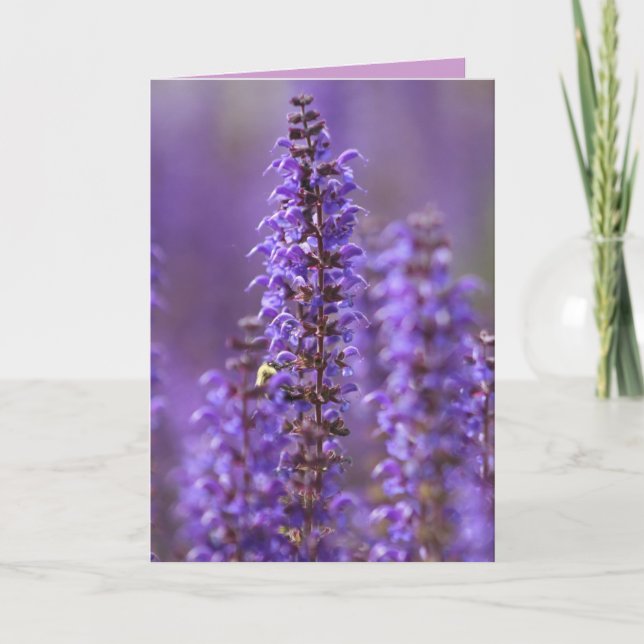 Farbe der Sommerblankkarte Karte (Vorderseite)