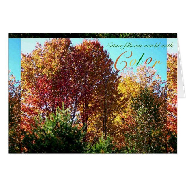 Farbe des Foliage (Vorderseite (Horizontal))