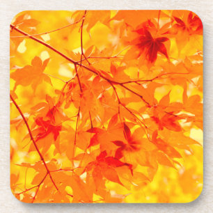 Farbe des Herbstes bleibt gelb Fall Getränkeuntersetzer