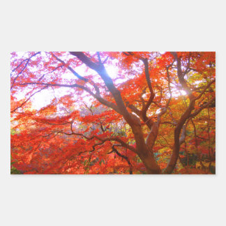 Farbe des Herbstes Rechteckiger Aufkleber