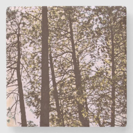 Farbe durch die Bäume Steinuntersetzer