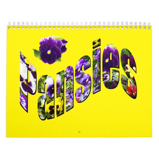 Farbe meiner Welt mit Hübschen Stiefmütterchen, Kalender (Titelbild)