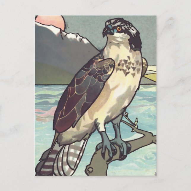 Farbe nach Anzahl Hawk Postkarte (Vorderseite)