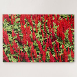 Farben 1