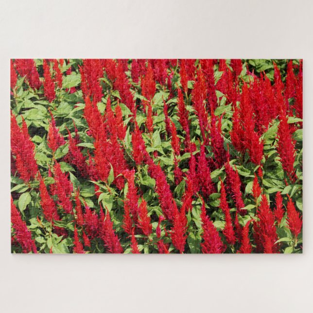 Farben 1 (Horizontal)