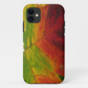 Farben der Ahornleaf Autumn Nature Fotografy iPhone 11 Hülle