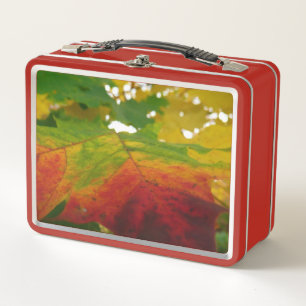 Farben der Ahornleaf Autumn Nature Fotografy Metall Brotdose