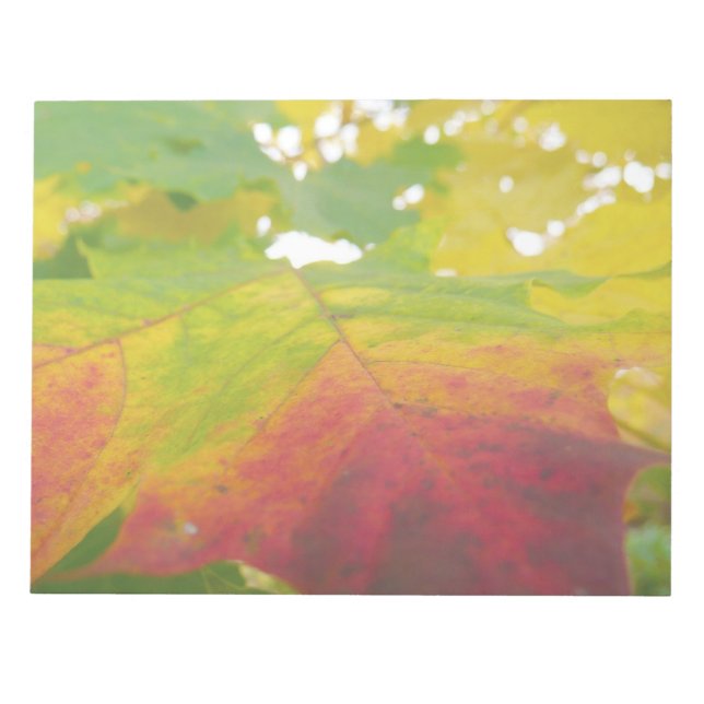 Farben der Ahornleaf Autumn Nature Fotografy Notizblock (Vorderseite)