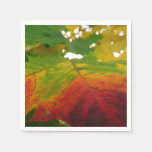 Farben der Ahornleaf Autumn Nature Fotografy Serviette