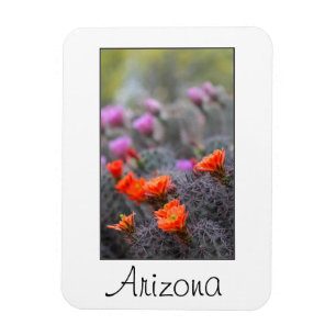 Farben der Wüste Arizona Magnet