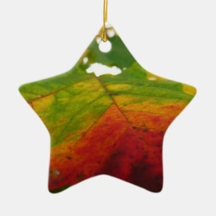 Farben des Ahornblattes Herbst Naturfotografie Keramik Ornament