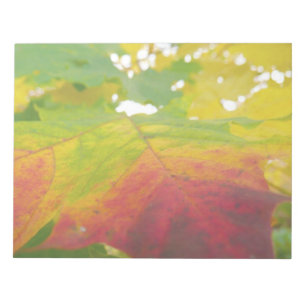 Farben des Ahornblattes Herbst Naturfotografie Notizblock