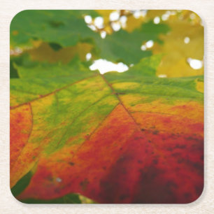 Farben des Ahornblattes Herbst Naturfotografie Rechteckiger Pappuntersetzer
