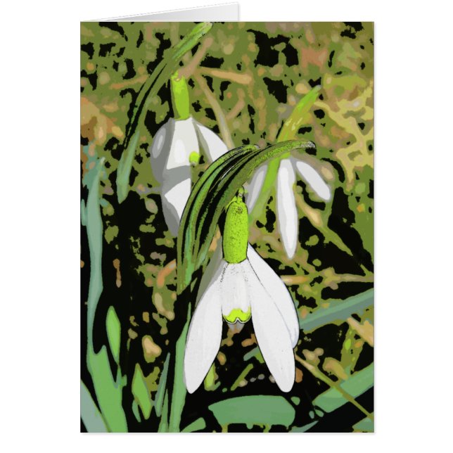 Farben des Frühlinges (Vorne)