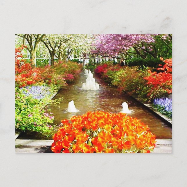 Farben des Lebens Postkarte (Vorderseite)