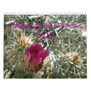 Farben des Mojave 2011 Kalender