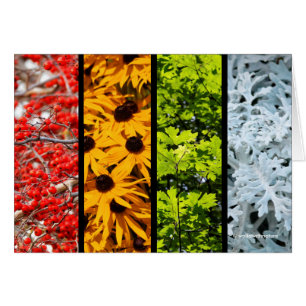 Farben des Quadriptychons der Veränderung