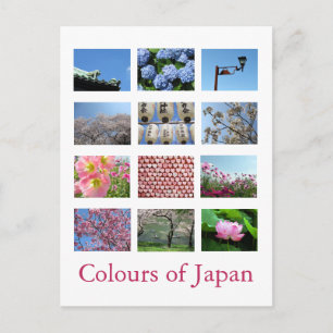 Farben Japans (blau/weiß/rosa) Postkarte