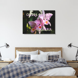 Farben Kolumbiens Cattleya Orchid Leinwanddruck