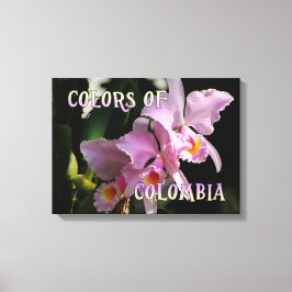 Farben Kolumbiens Cattleya Orchid Leinwanddruck