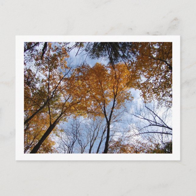 Farben und Himmel Postkarte (Vorderseite)