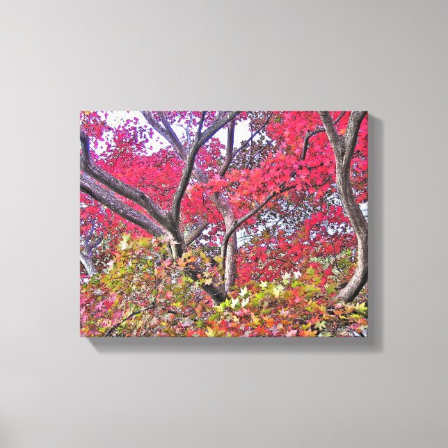 FARBEN VON FALL/BAUM MIT FARBEN BLÄTTER LEINWANDDRUCK (Vorderseite)