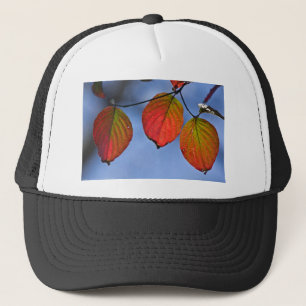 Farbenfroh beleuchteter Herbstleaves Trio Truckerkappe