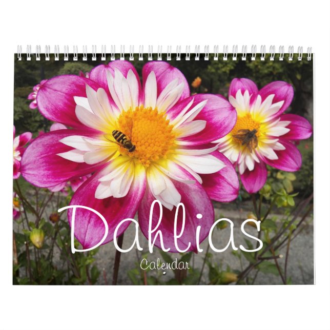 farbenfroh Dahlias floral fotografisch Kalender (Titelbild)