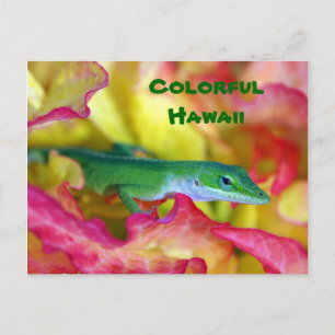 farbenfroh Hawaii Postkarte