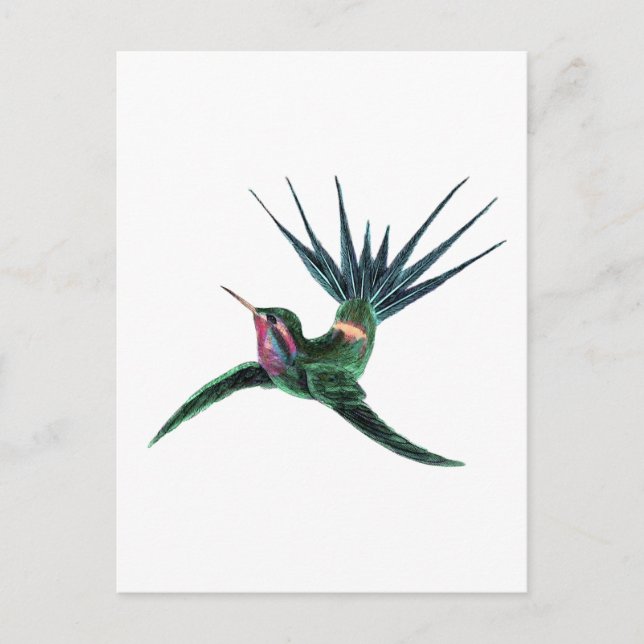 Farbenfroh Hummingbird Postkarte (Vorderseite)