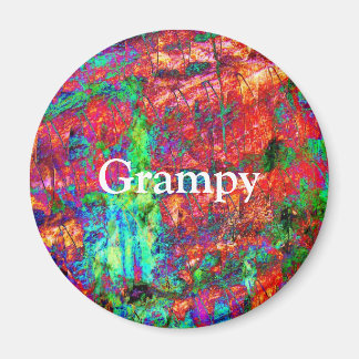 Farbenfrohe Abstrakte Kunst Grampie Magnet