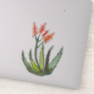 Farbenfrohe Aquarellbahn Vera Sukkuläre Blume Aufkleber