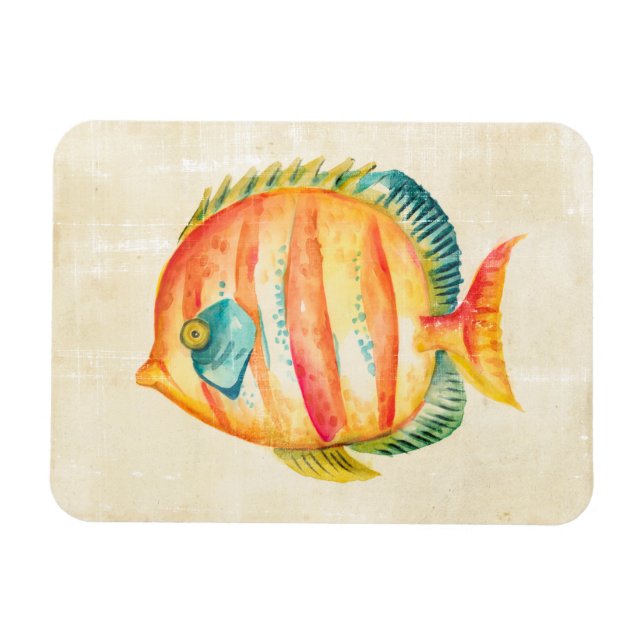 Farbenfrohe Aquarienfische Magnet (Horizontal)