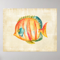 Farbenfrohe Aquarienfische