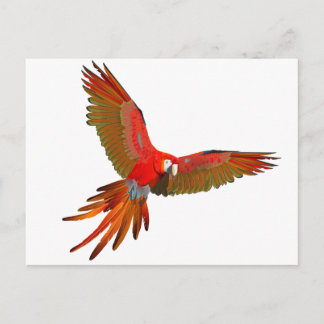 Farbenfrohe Arena Postkarte