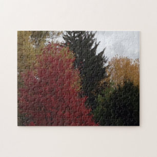 Farbenfrohe Bäume im Herbst Gray Sky Puzzles