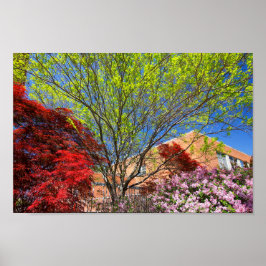 Farbenfrohe Bäume und Bushes im Frühling Poster